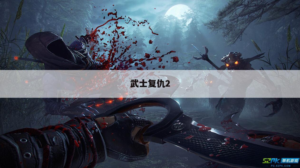 武士2：复仇通关攻略 武士2：复仇怎么通关--武士复仇2