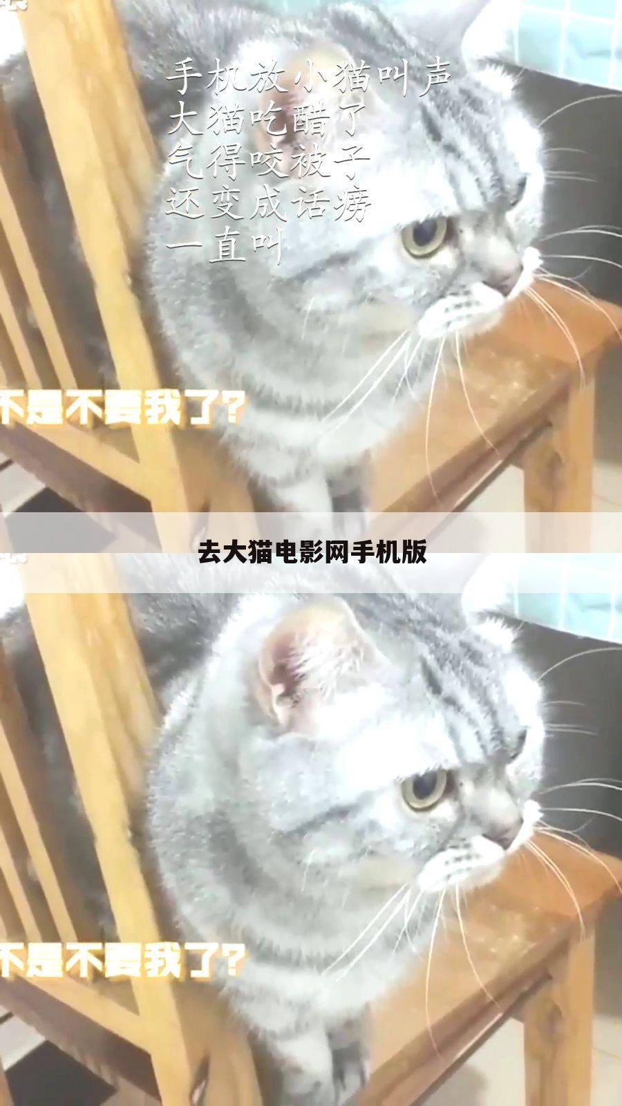 去大猫电影网手机版