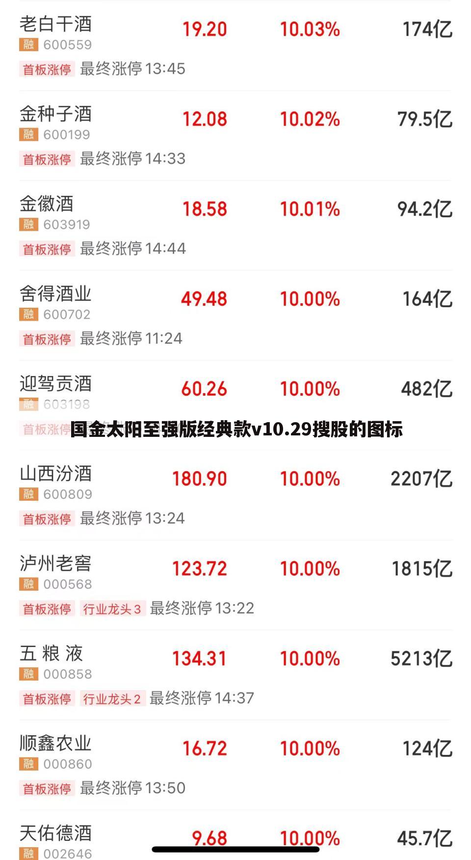 国金太阳至强版经典款v10.29搜股的图标