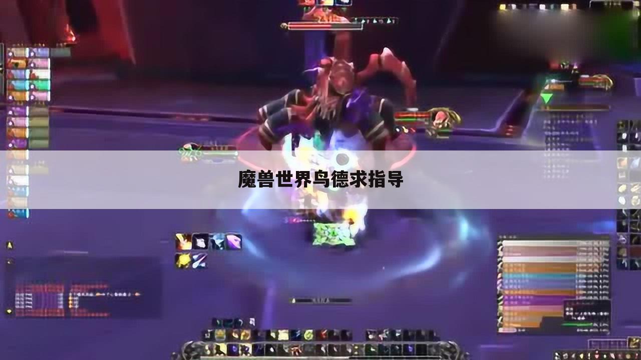 魔兽世界鸟德求指导