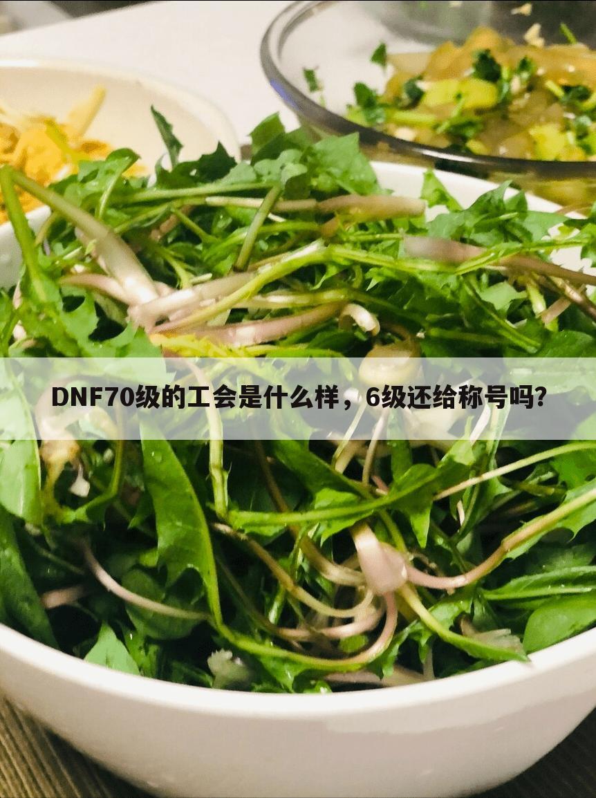 dnf公会称号怎么得、DNF70级的工会是什么样，6级还给称号吗？