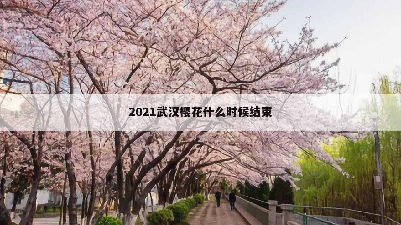 2021武汉樱花什么时候结束