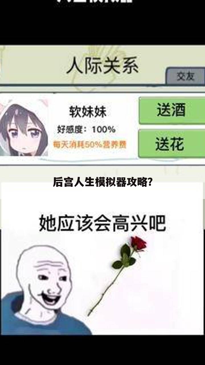 后宫人生模拟器攻略？