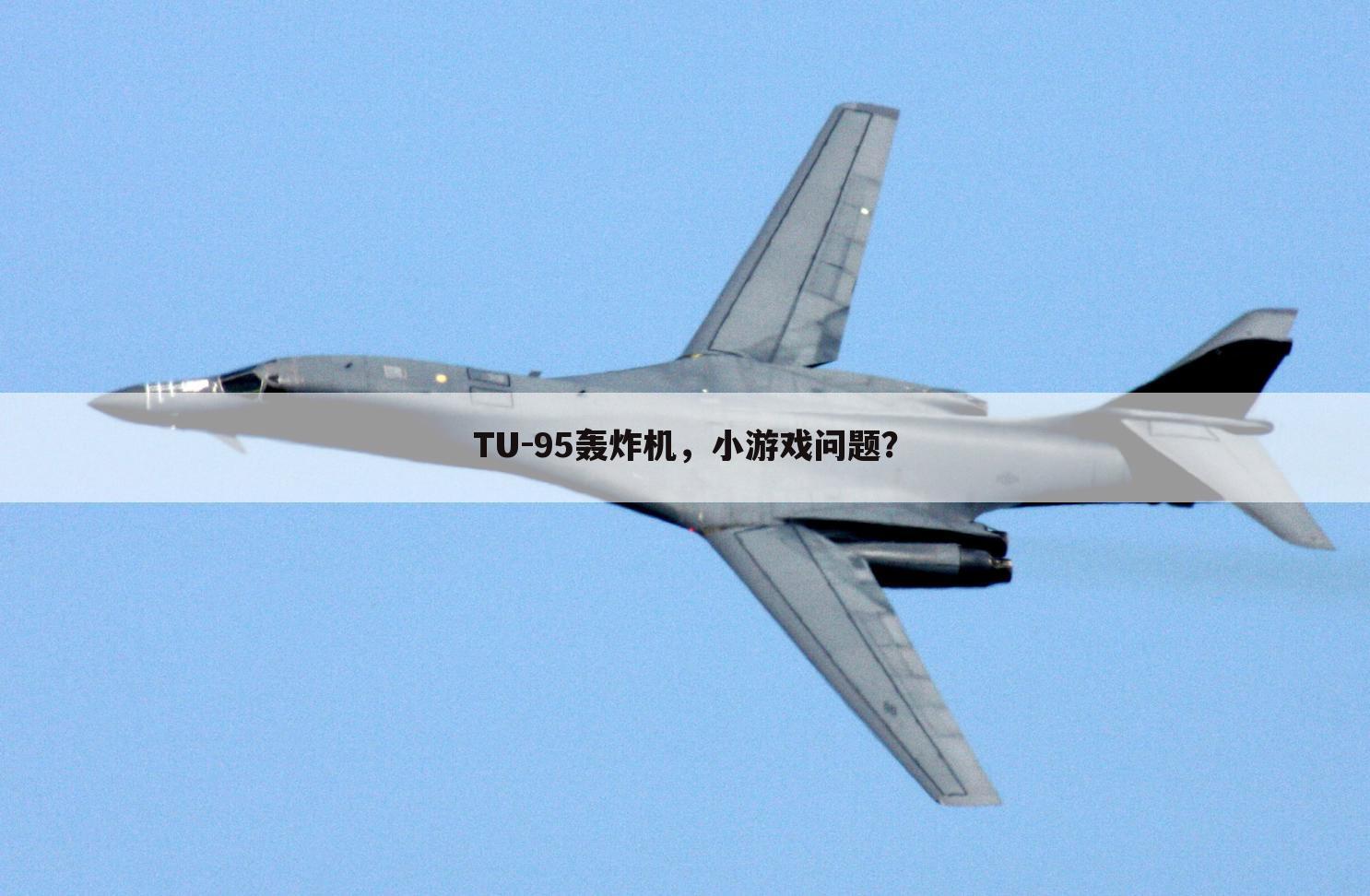 TU-95轰炸机，小游戏问题？