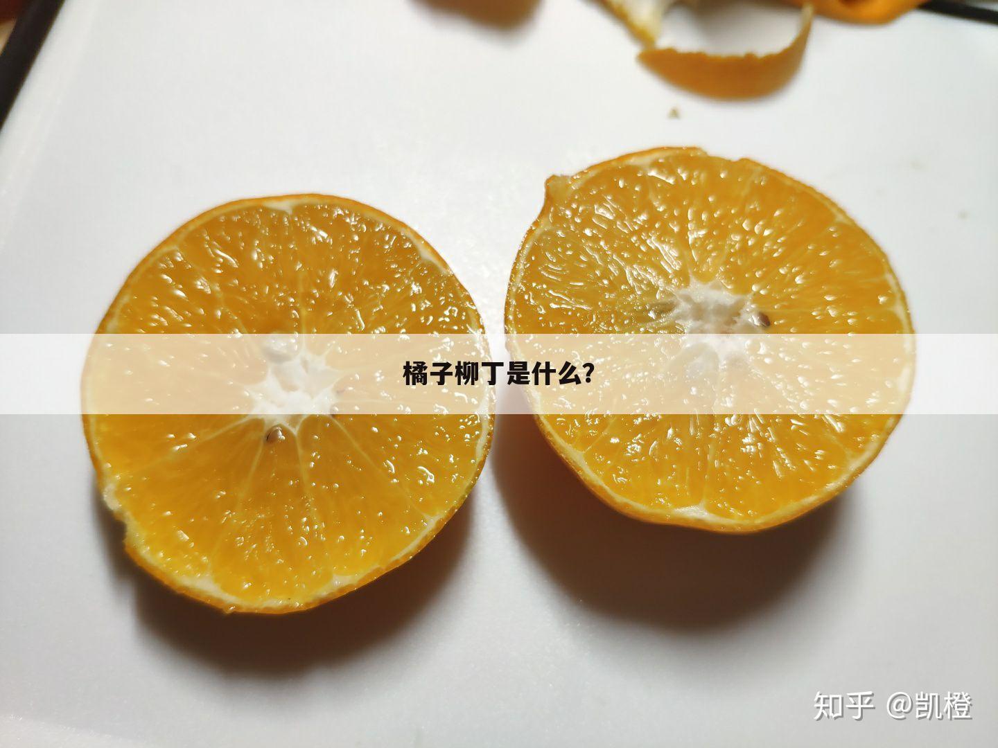 橘子柳丁是什么？