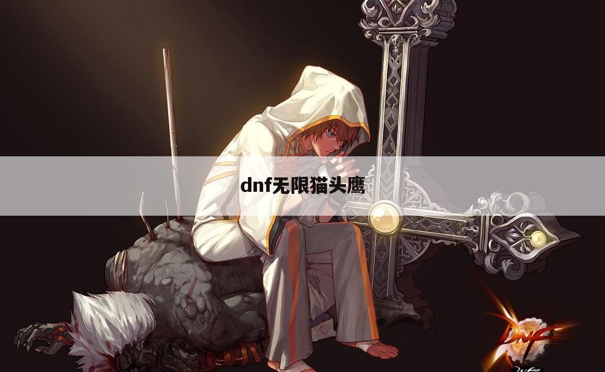 dnf无限猫头鹰