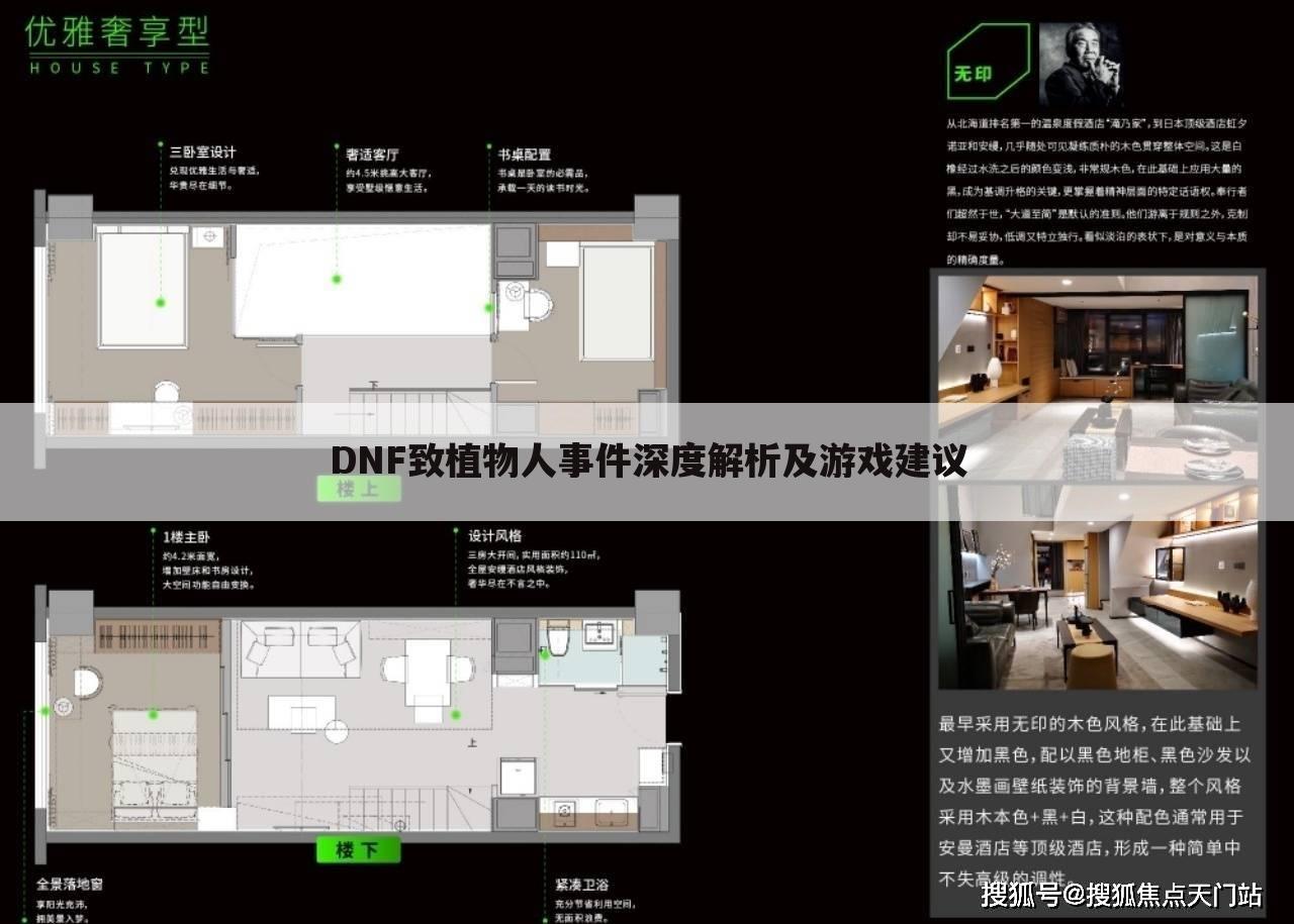 DNF致植物人事件深度解析及游戏建议