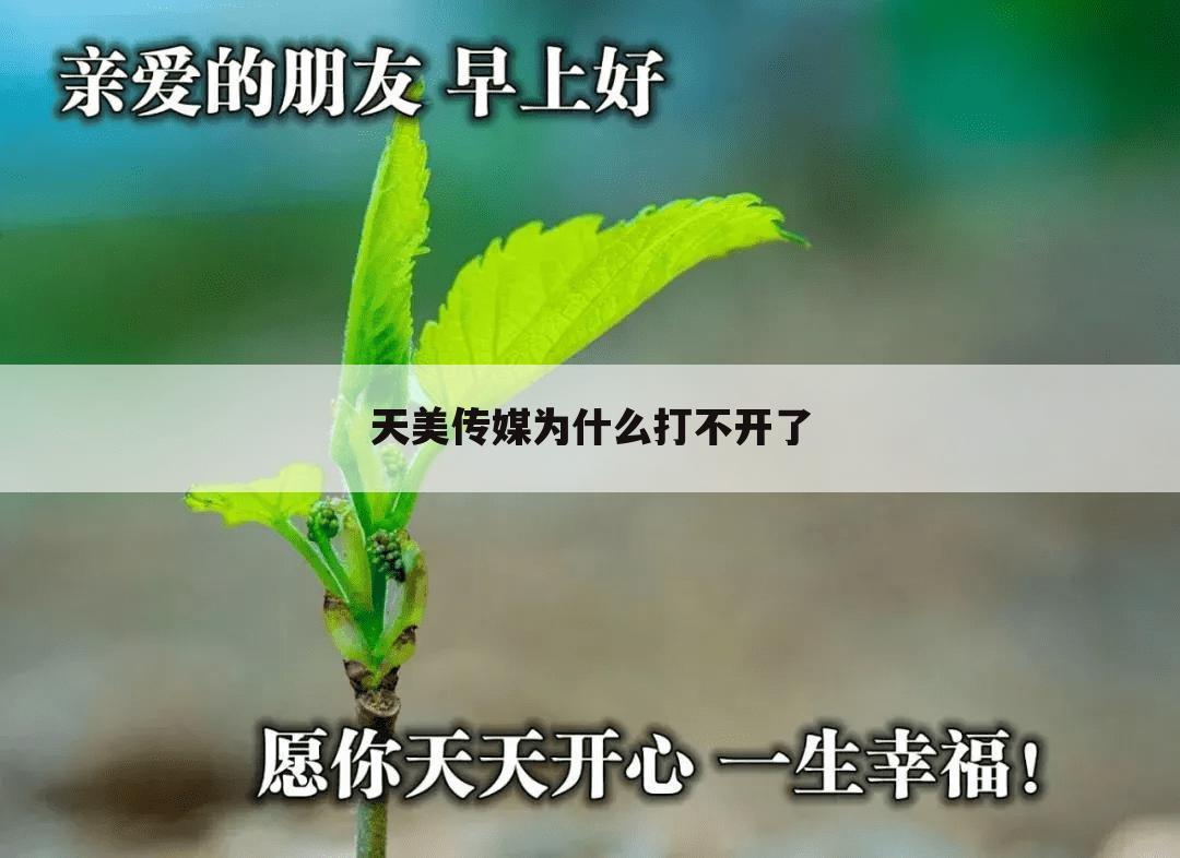 天美传媒为什么打不开了