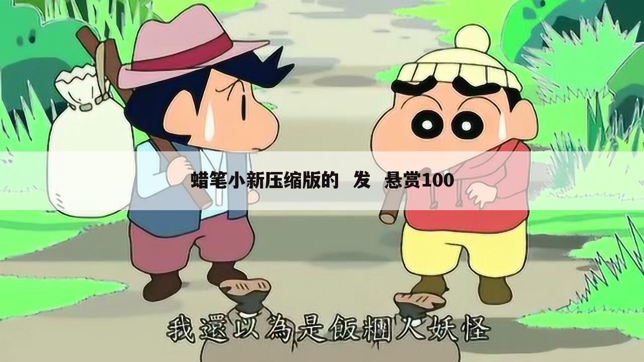 蜡笔小新压缩版的  发  悬赏100