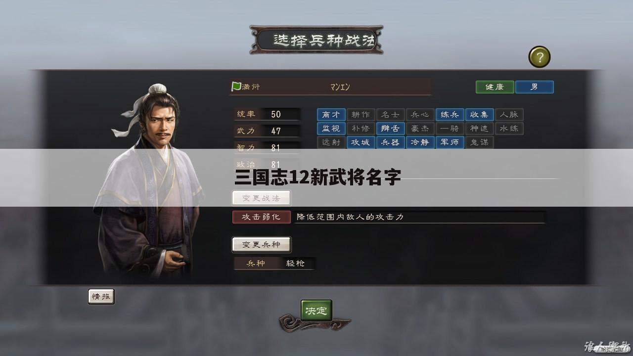 三国志12新武将名字