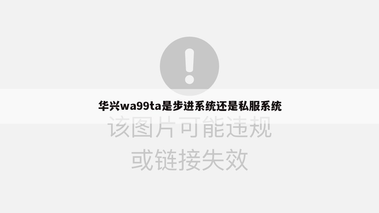 华兴wa99ta是步进系统还是私服系统