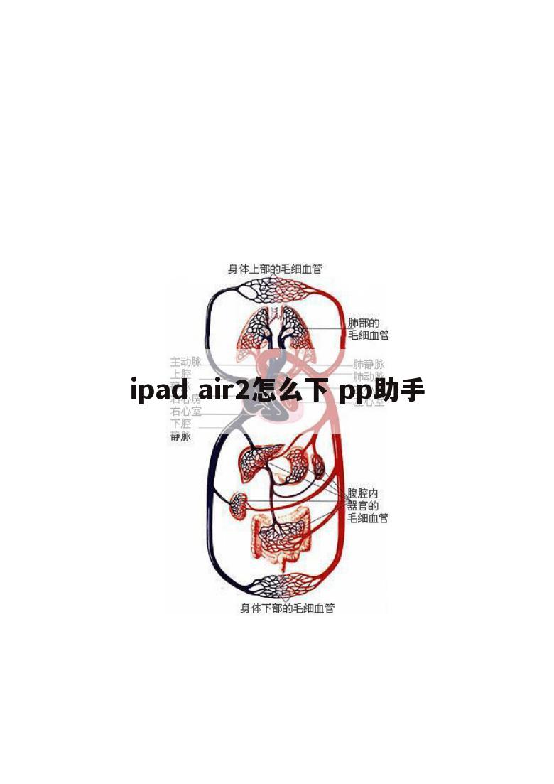 ipad air2怎么下 pp助手