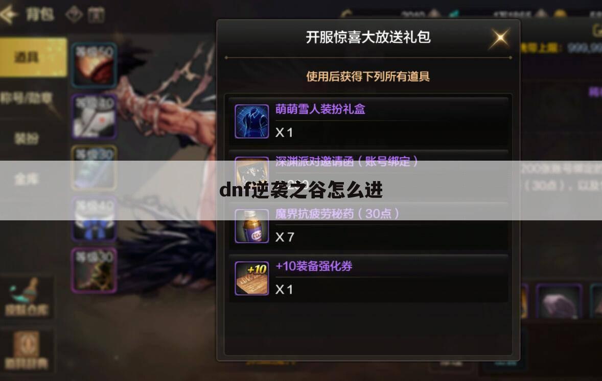 dnf逆袭之谷怎么进