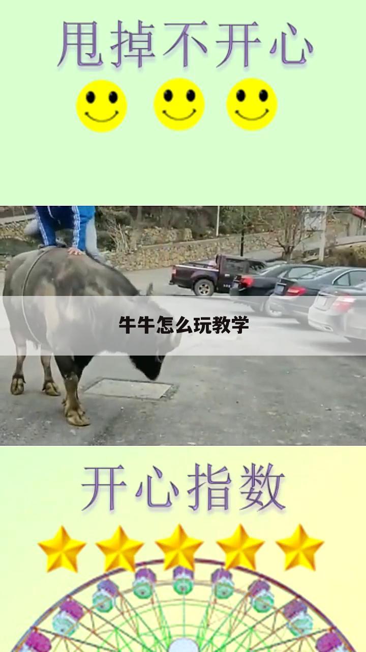 牛牛怎么玩教学