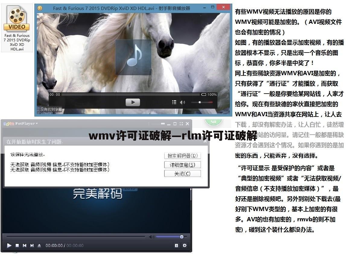 wmv许可证破解—rlm许可证破解