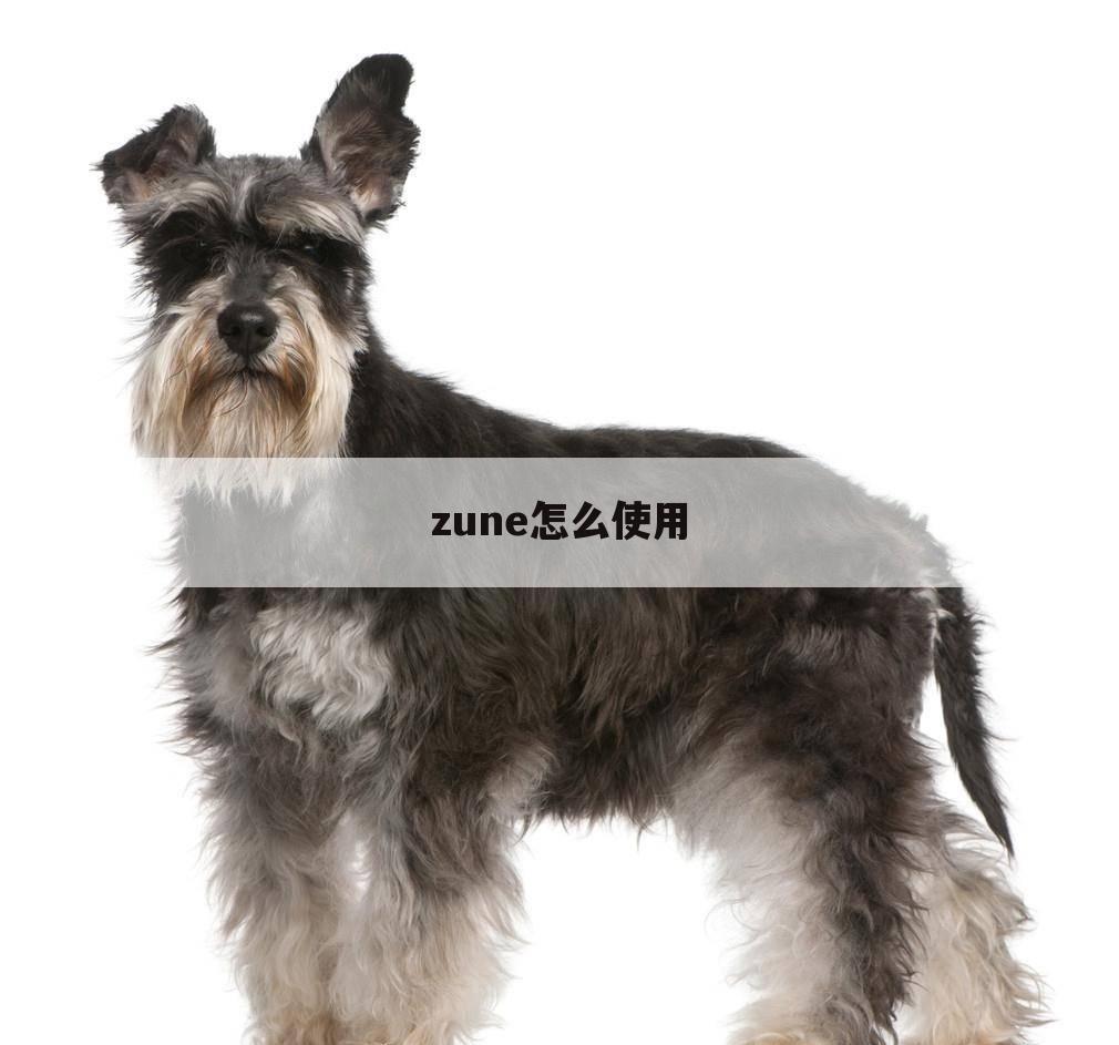 zune怎么使用