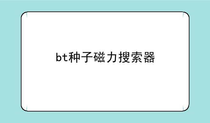 bt种子磁力搜索器