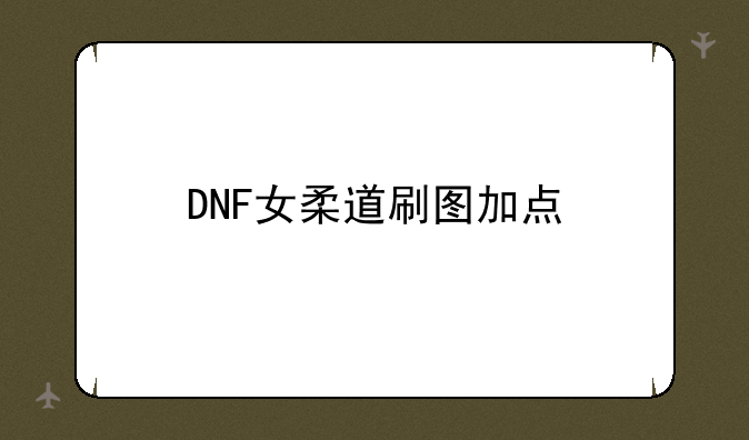 DNF女柔道刷图加点