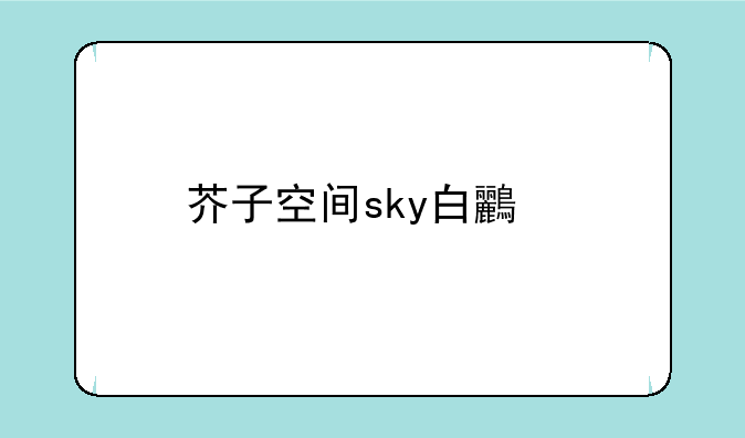 芥子空间sky白鸟版