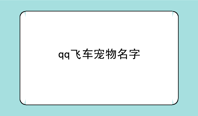 qq飞车宠物名字