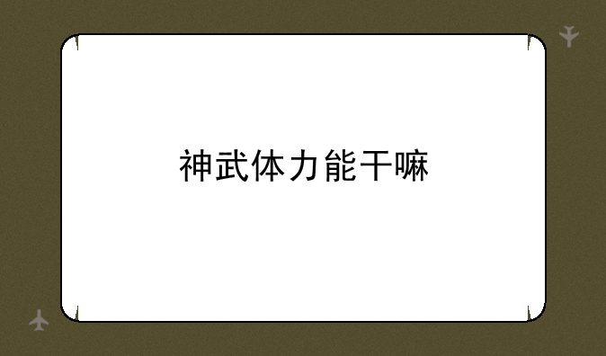 神武体力和活力最好用来做什么;神武体力能干嘛