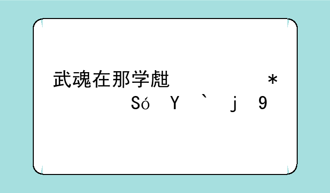 武魂在那学生活技能???求高手