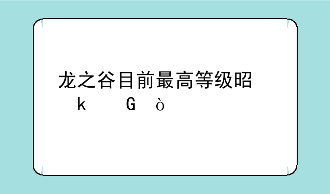 龙之谷目前最高等级是多少？