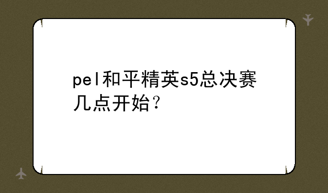 pel和平精英s5总决赛几点开始？