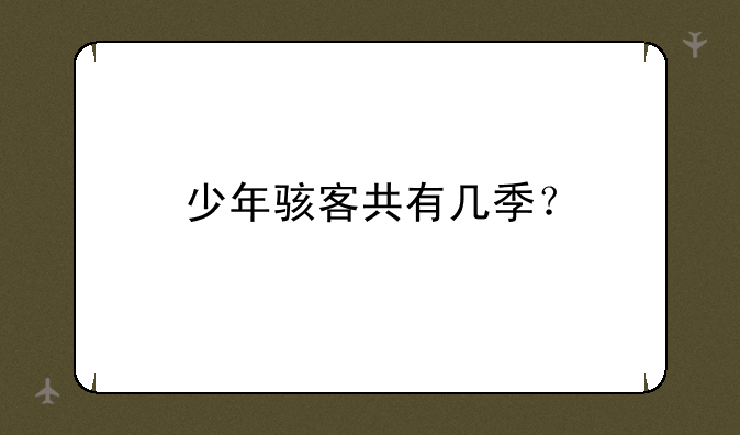 少年骇客共有几季？