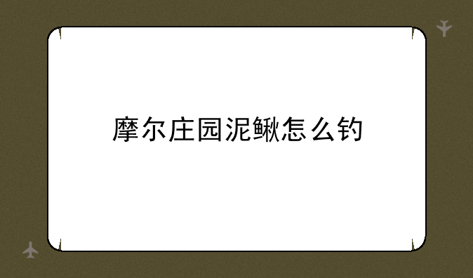 摩尔庄园泥鳅怎么钓