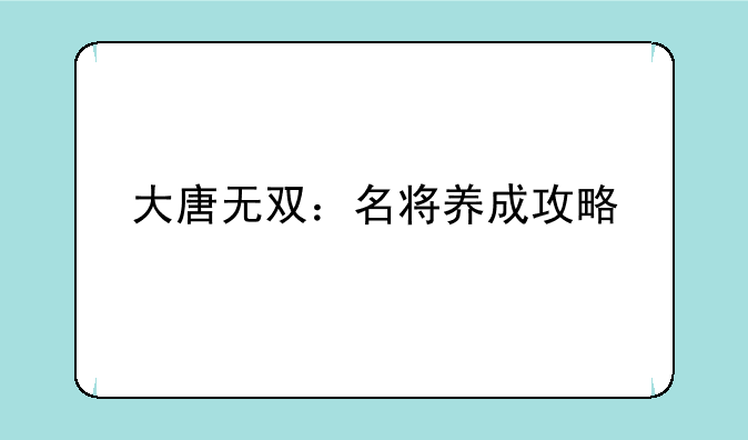 大唐无双：名将养成攻略