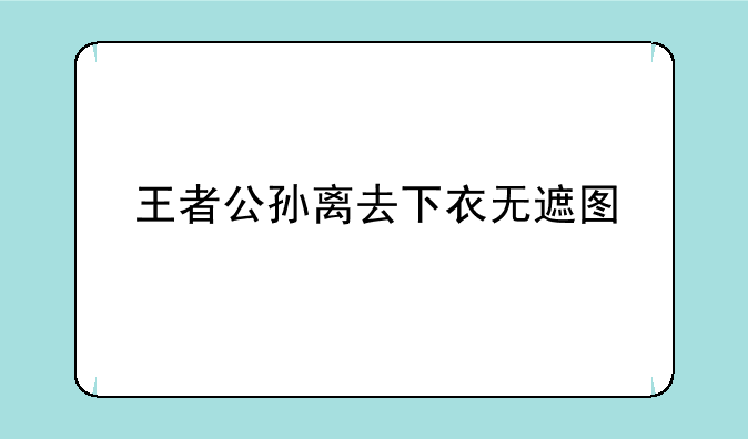 王者公孙离去下衣无遮图