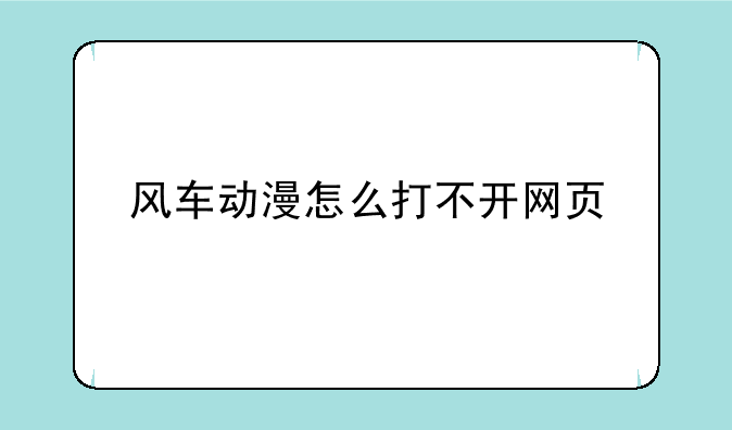 风车动漫怎么打不开网页