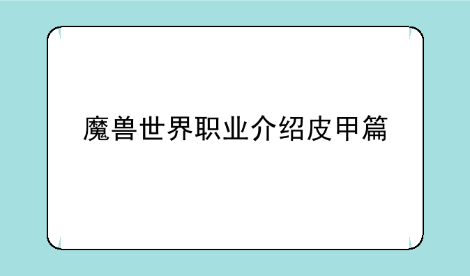 魔兽世界职业介绍皮甲篇