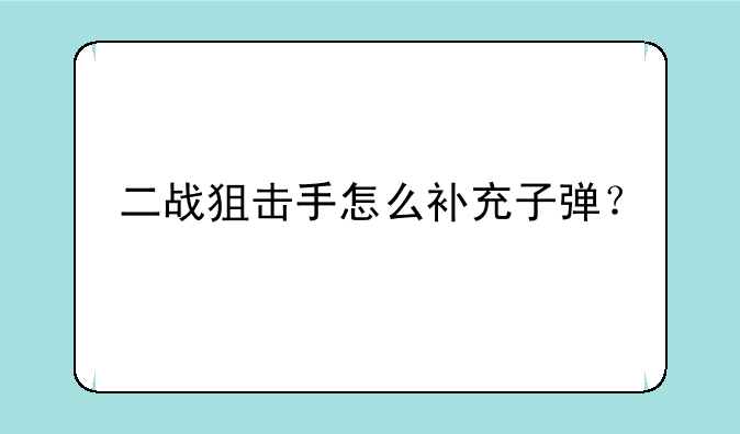 二战狙击手怎么补充子弹？