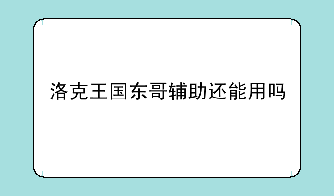 洛克王国东哥辅助还能用吗