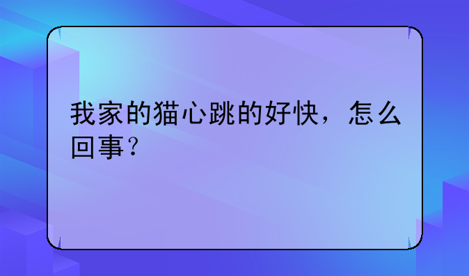 我家的猫心跳的好快，怎么回事？