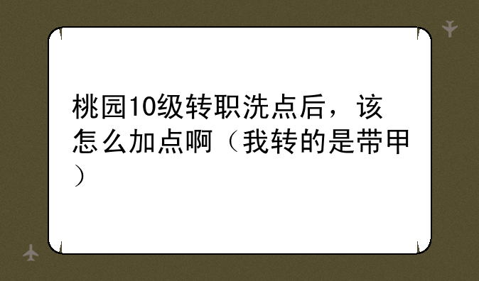 桃园10级转职洗点后，该怎么加点啊（我转的是带甲）