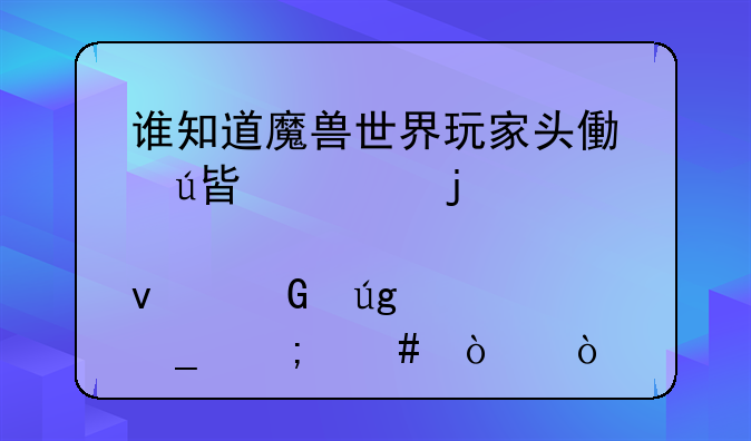 谁知道魔兽世界玩家头像边框上的那条金龙标志怎么弄？