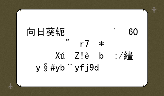 向日葵软件安卓客户服务端可自动连接服务器和隐藏图标吗？