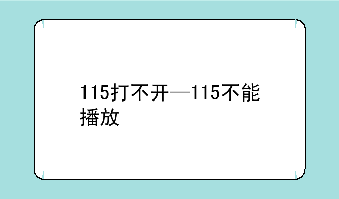 115打不开—115不能播放