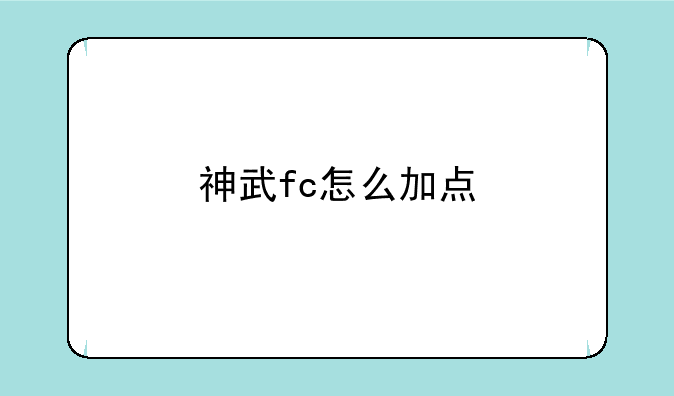 神武fc怎么加点