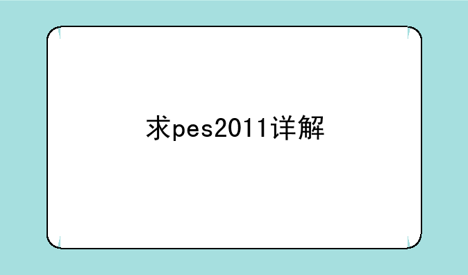 求pes2011详解