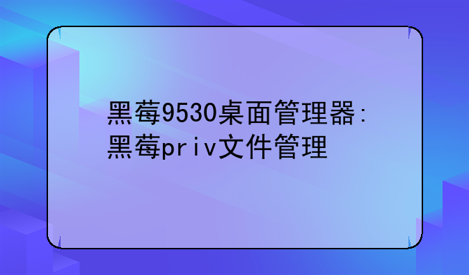 黑莓9530桌面管理器:黑莓priv文件管理