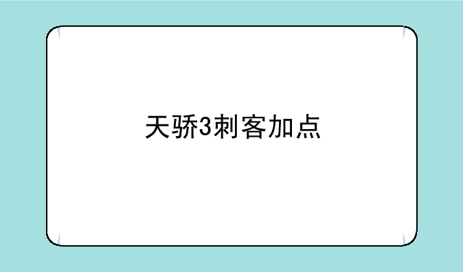 天骄3刺客加点