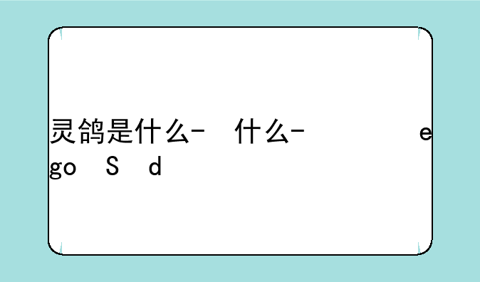 灵鸽是什么-灵鸽是干嘛的